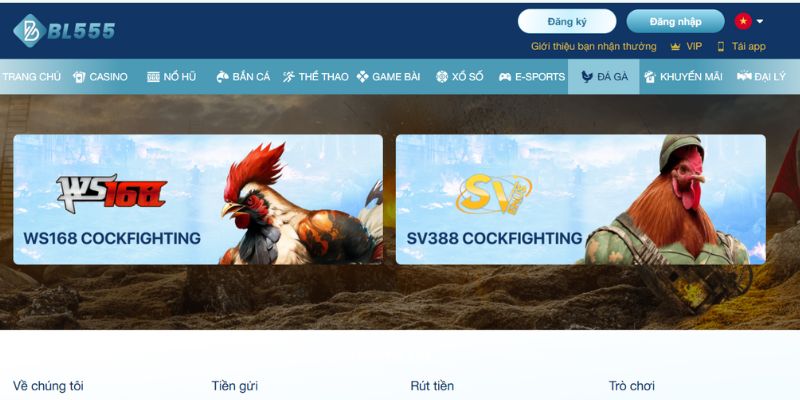 Các trận đấu được đảm bảo hình ảnh phát sóng rõ nét